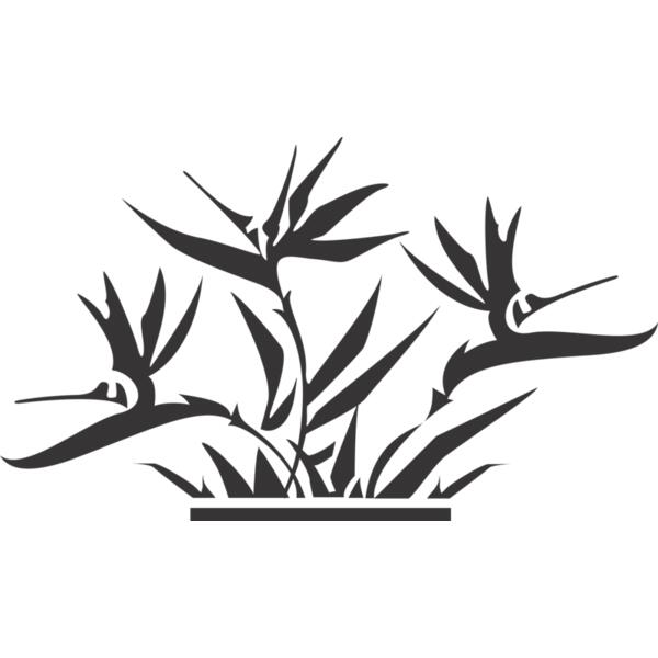 FLOWERS Thumbnail