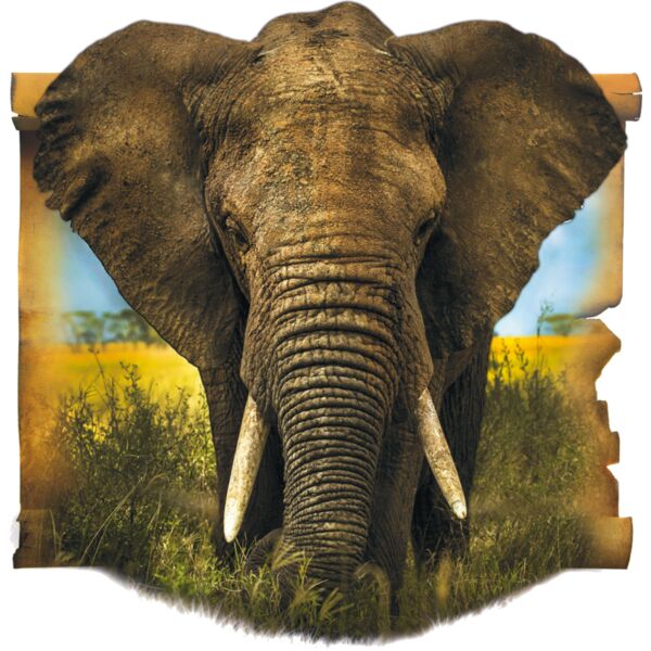 Elephant Thumbnail