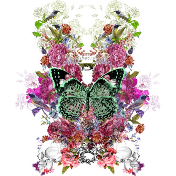 Butterfly Thumbnail